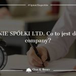 Uśpienie spółki LTD. Co to jest dormant company?